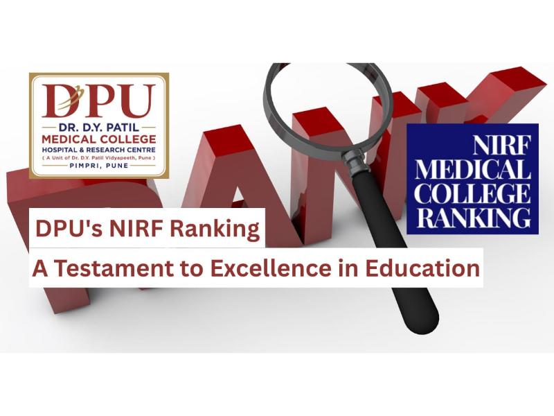  dpu-blog