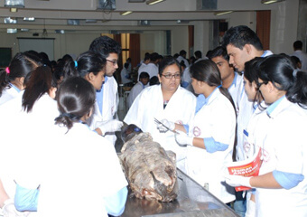 Dissection hall