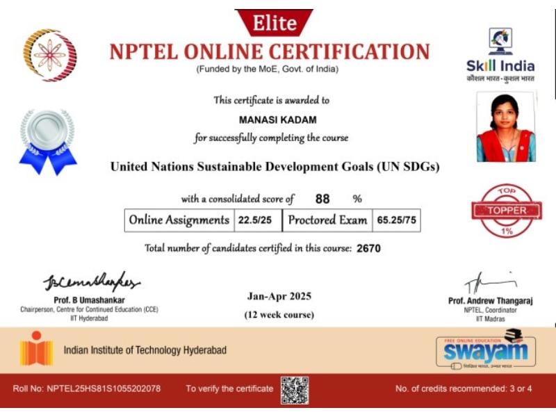 UN SDG Course Certificate