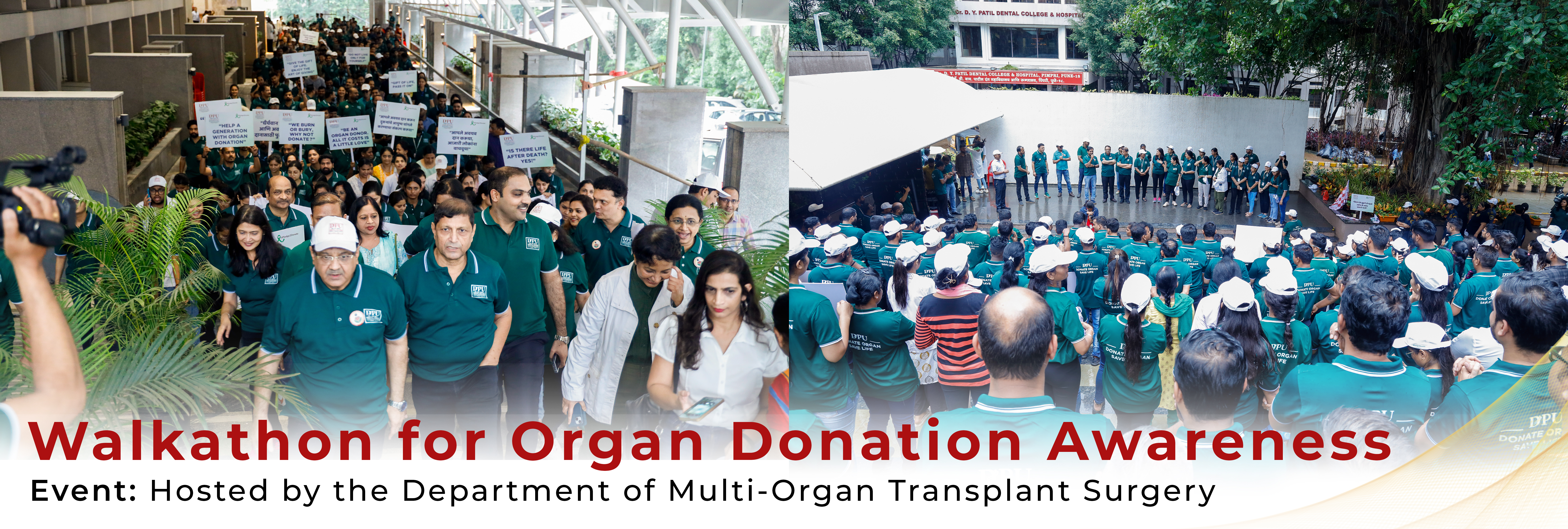 organ-walkathon